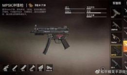 枪械模组最新爆料大全,揭秘未来战场利器